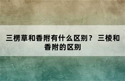 三楞草和香附有什么区别？ 三棱和香附的区别